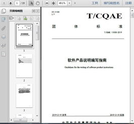 t cqae 11008 2019軟件產(chǎn)品說明編寫指南19頁(yè)